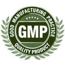 gmp-logo